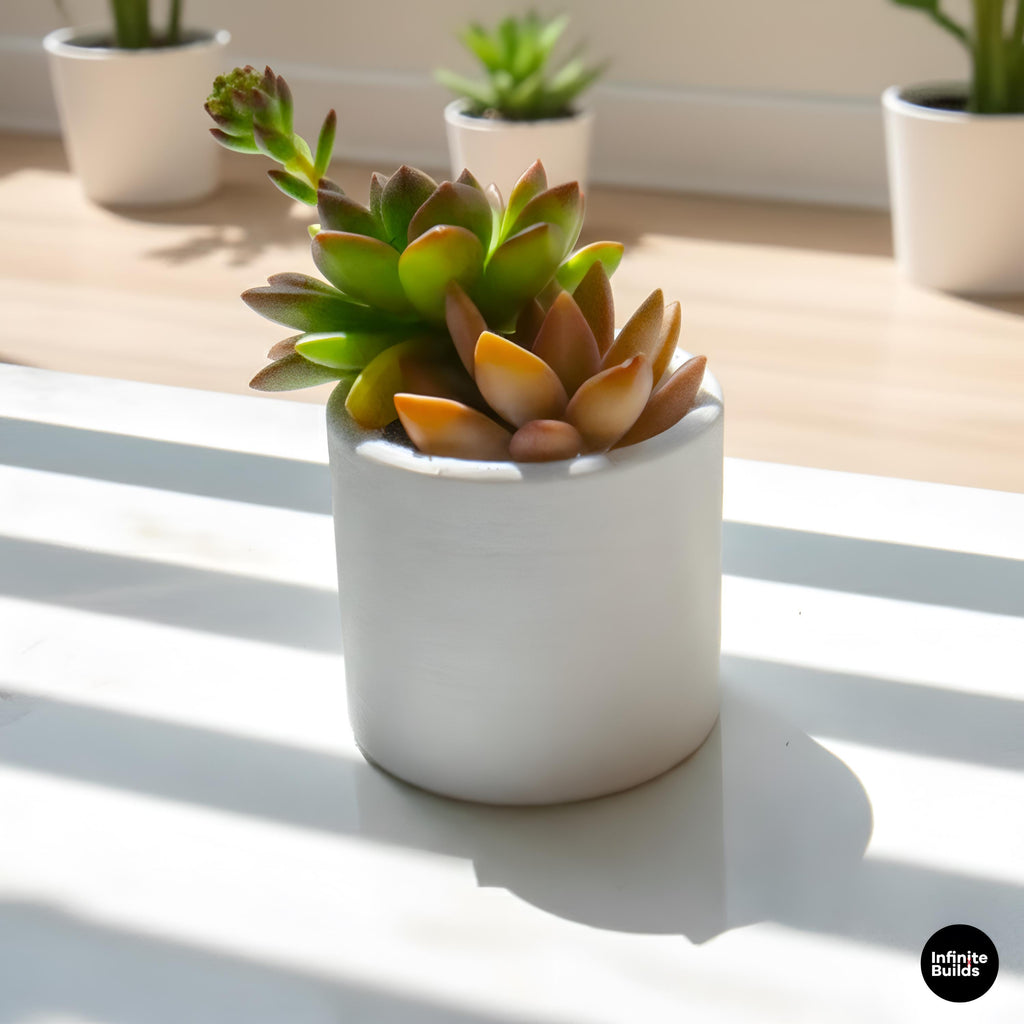 Minimal Cylinder Plant Pot 3D Printed | Small Round Succulent Pot | Modern Air Plant Planter | Desk Decor | 2.4–3 Inch