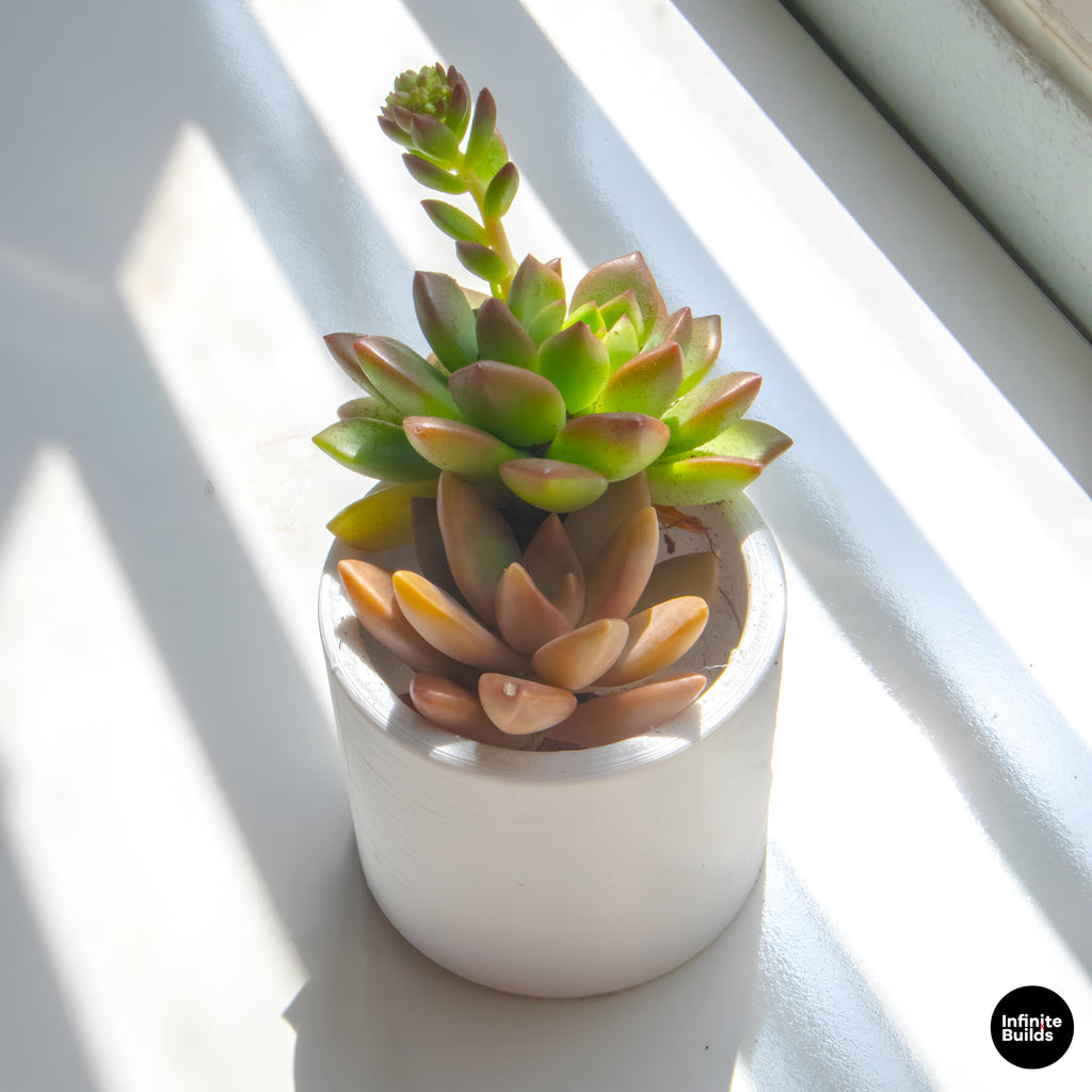 Minimal Cylinder Plant Pot 3D Printed | Small Round Succulent Pot | Modern Air Plant Planter | Desk Decor | 2.4–3 Inch