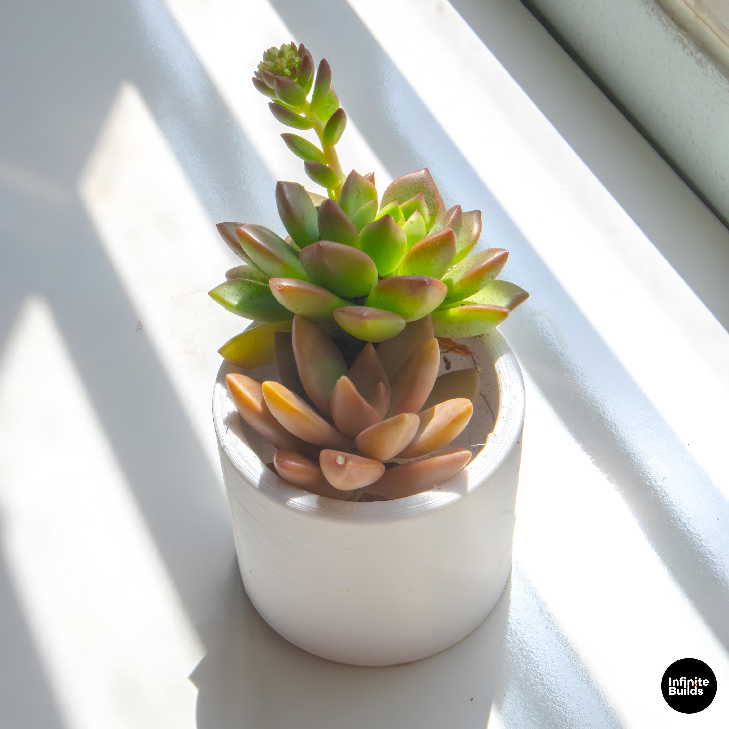 Minimal Cylinder Plant Pot 3D Printed | Small Round Succulent Pot | Modern Air Plant Planter | Desk Decor | 2.4–3 Inch