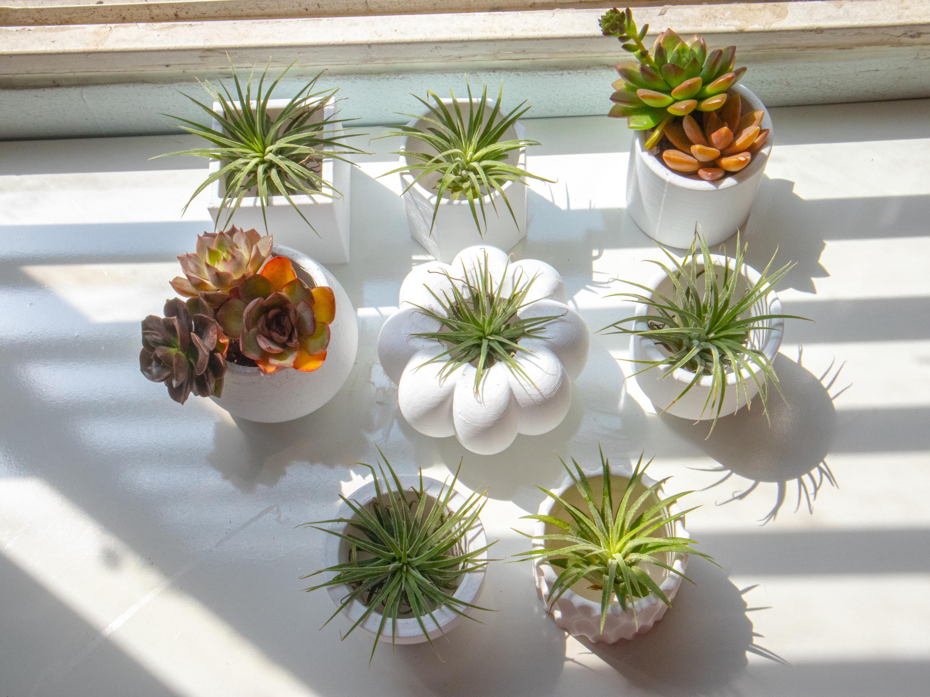 Square 3D Printed Plant Pot | Minimal Square Planter 2.4–3in | Modern Desk Decor | Small Air Plant Pot