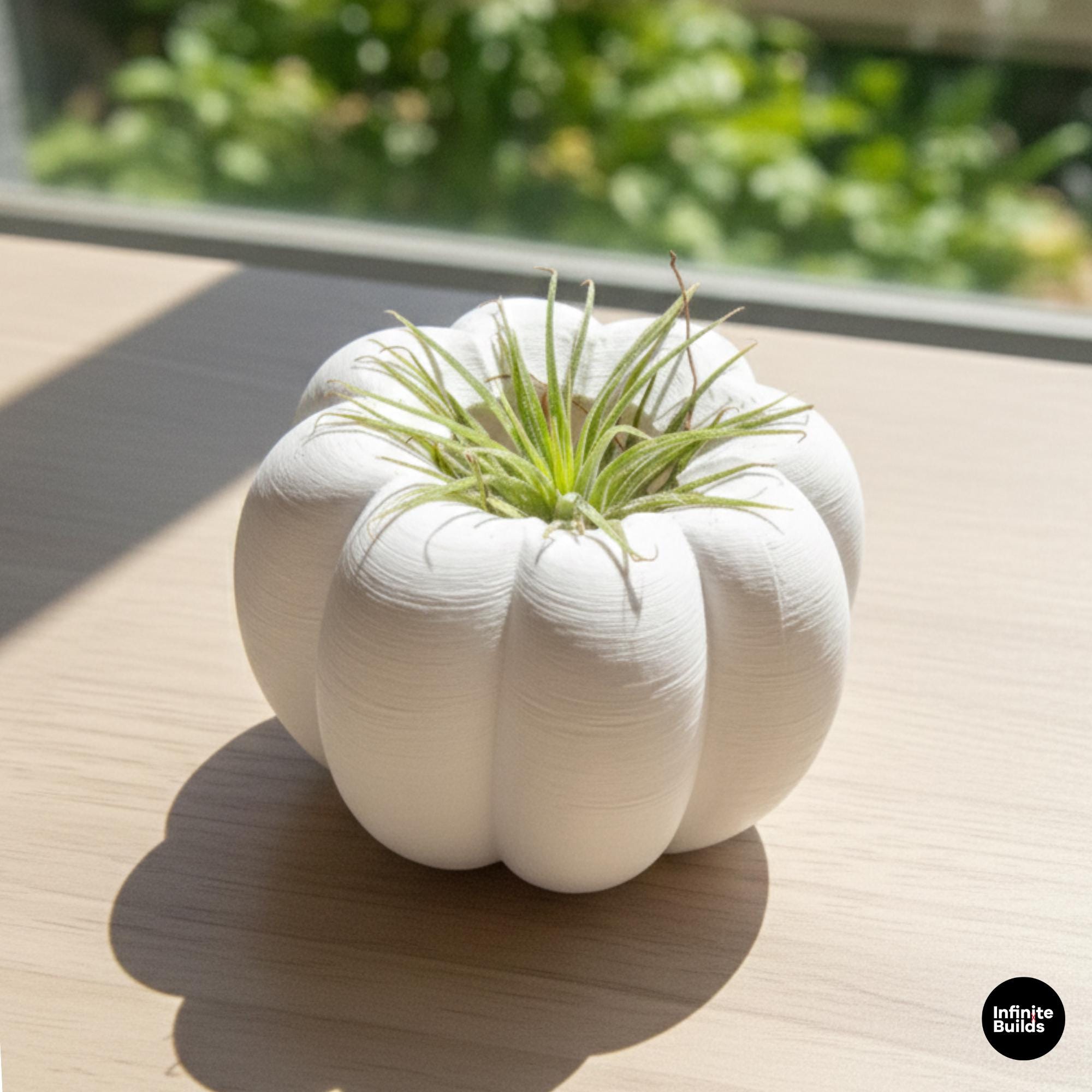 3D Printed Pumpkin Plant Pot Mini | Cute Air Plant Holder | Minimal Desk Decor | Small Succulent Planter | Cozy Home Gift