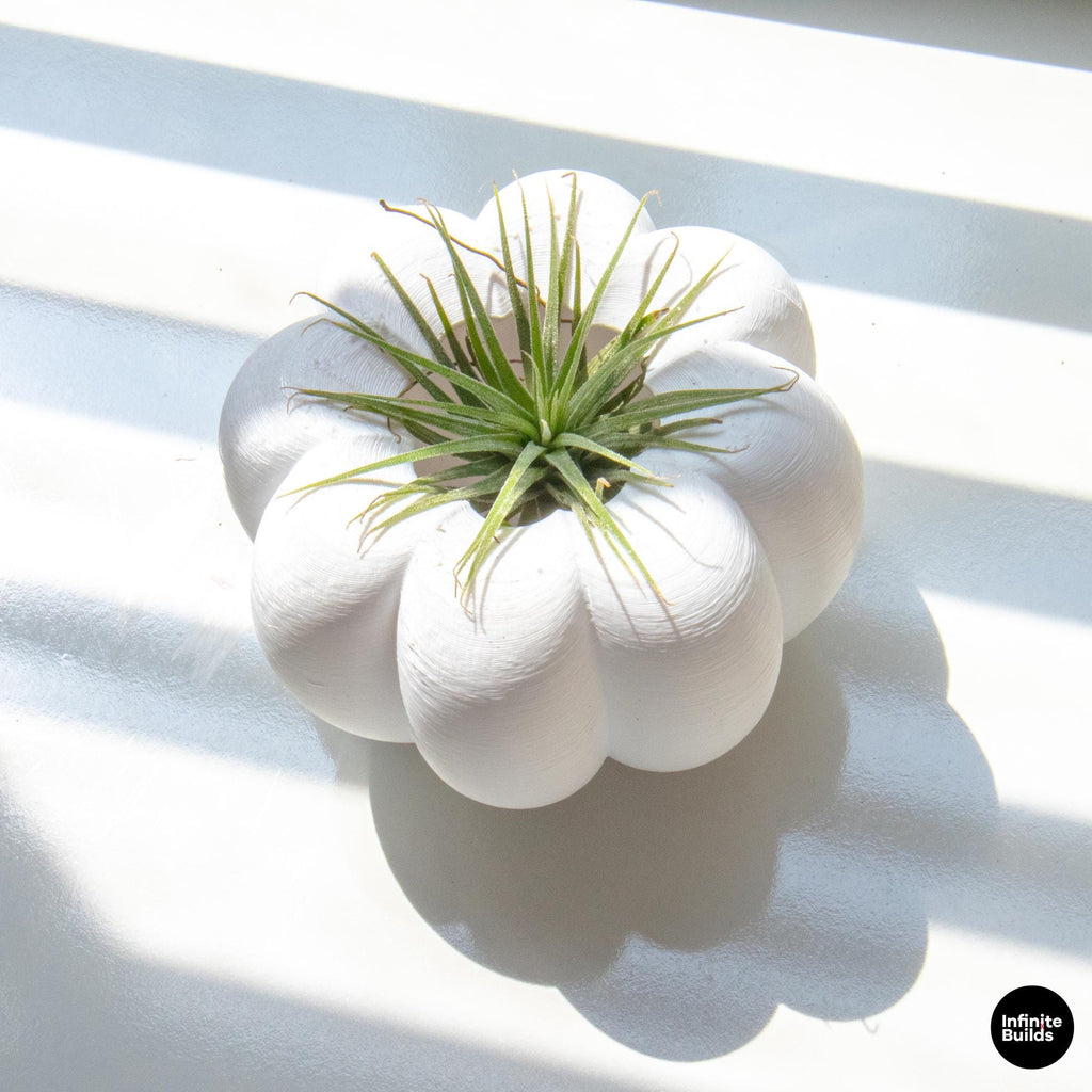 3D Printed Pumpkin Plant Pot Mini | Cute Air Plant Holder | Minimal Desk Decor | Small Succulent Planter | Cozy Home Gift