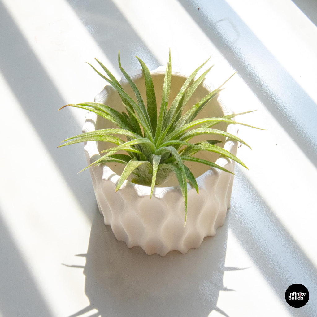 Wavy 3D Printed Plant Pot | Modern Ripple Planter 2.4–3 Inches | Minimalist Desk Decor | Air Plant Pot