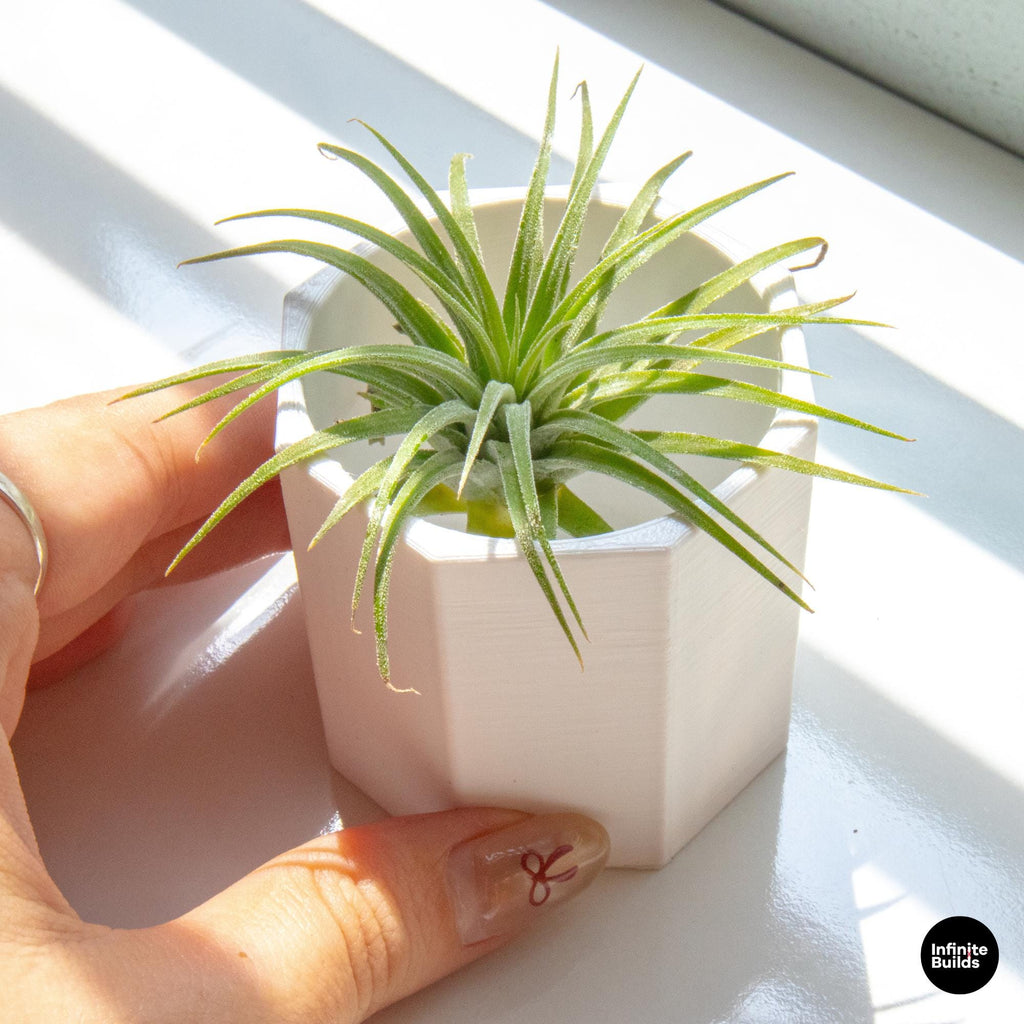 Polygonal 3D Printed Plant Pot | Minimalist Geometric Planter 2.4–3 Inches | Modern Desk Decor | Air Plant Pot