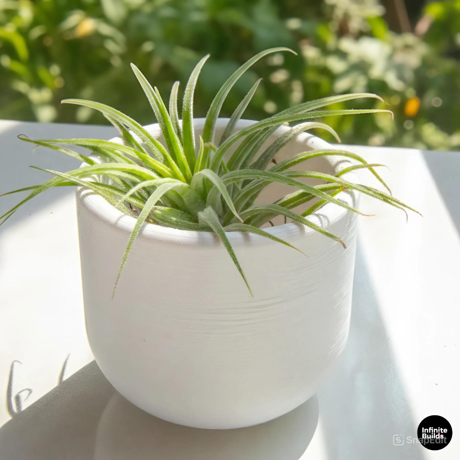 3D Printed Round Cup Plant Pot | Minimalist White Planter 2.4 Inches | Small Desk Pot for Air Plant & Succulent