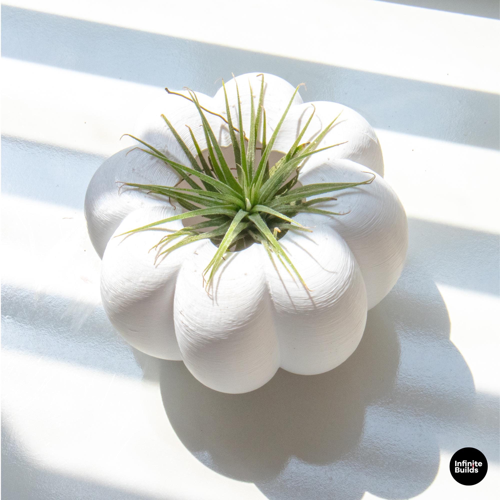 3D Printed Pumpkin Plant Pot Mini | Cute Air Plant Holder | Minimal Desk Decor | Small Succulent Planter | Cozy Home Gift