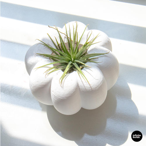 3D Printed Pumpkin Plant Pot Mini | Cute Air Plant Holder | Minimal Desk Decor | Small Succulent Planter | Cozy Home Gift