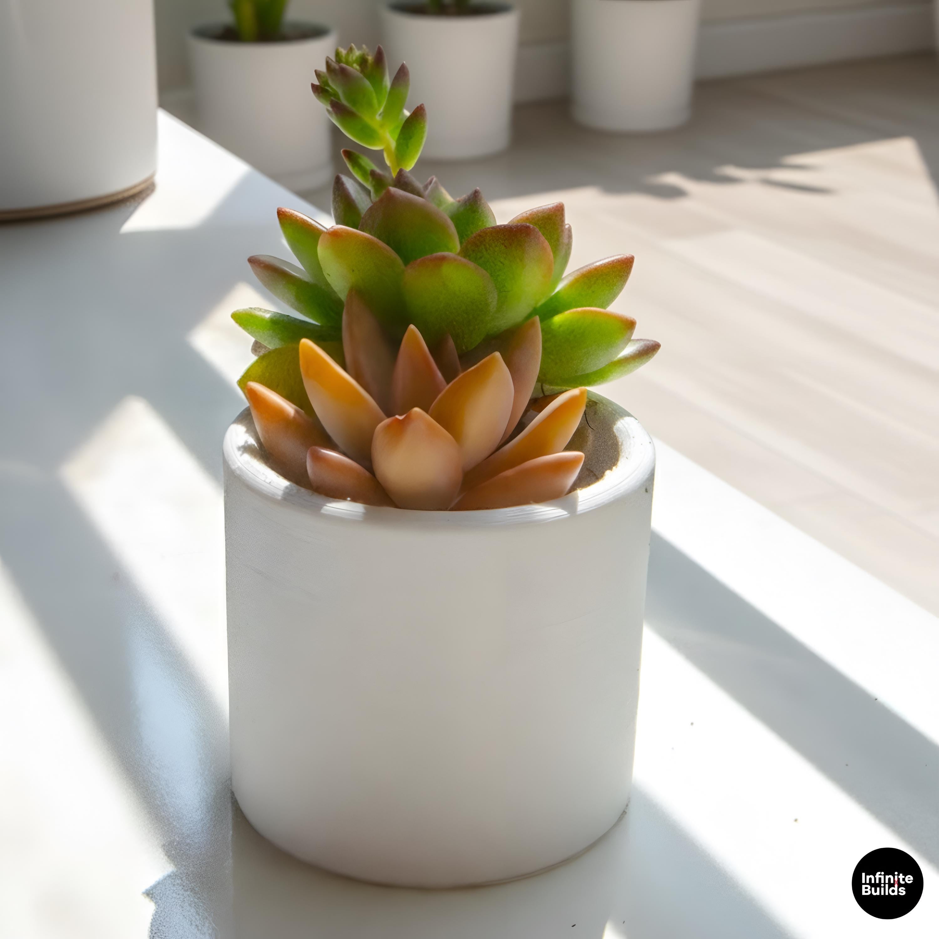 Minimal Cylinder Plant Pot 3D Printed | Small Round Succulent Pot | Modern Air Plant Planter | Desk Decor | 2.4–3 Inch