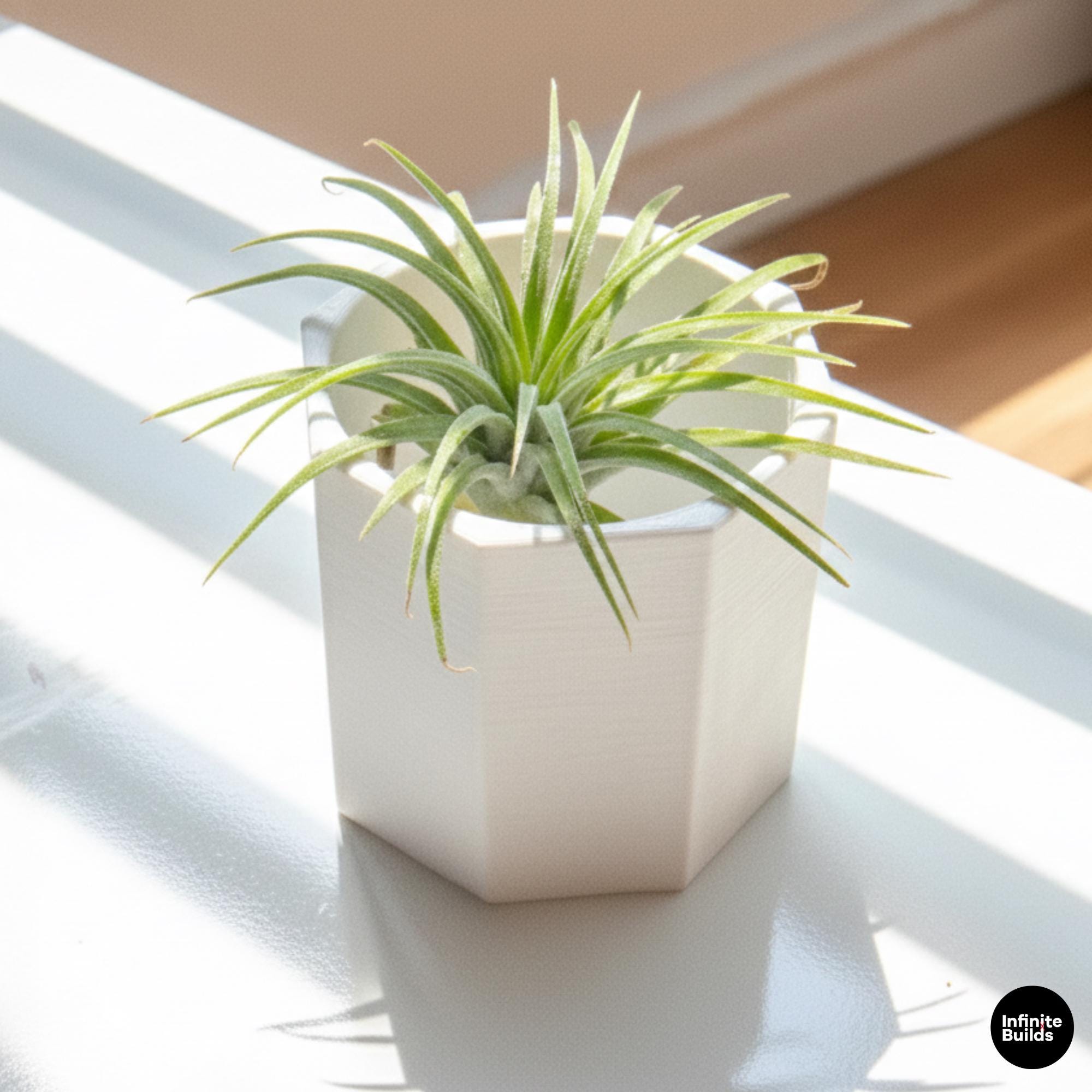 Polygonal 3D Printed Plant Pot | Minimalist Geometric Planter 2.4–3 Inches | Modern Desk Decor | Air Plant Pot