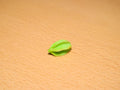 Handmade Miniature Starfruit: Polymer Clay Carambola, Set of 2