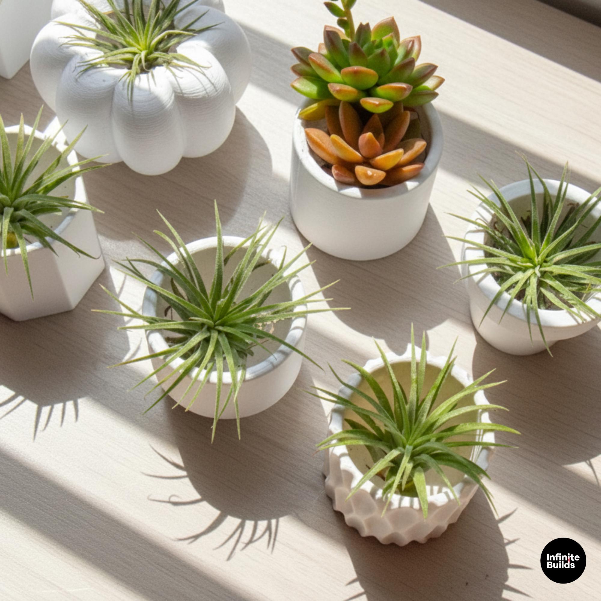 Mini Terracotta Style Pot 3D Printed | Small Round Planter for Air Plants | Succulents | Minimal Home Decor