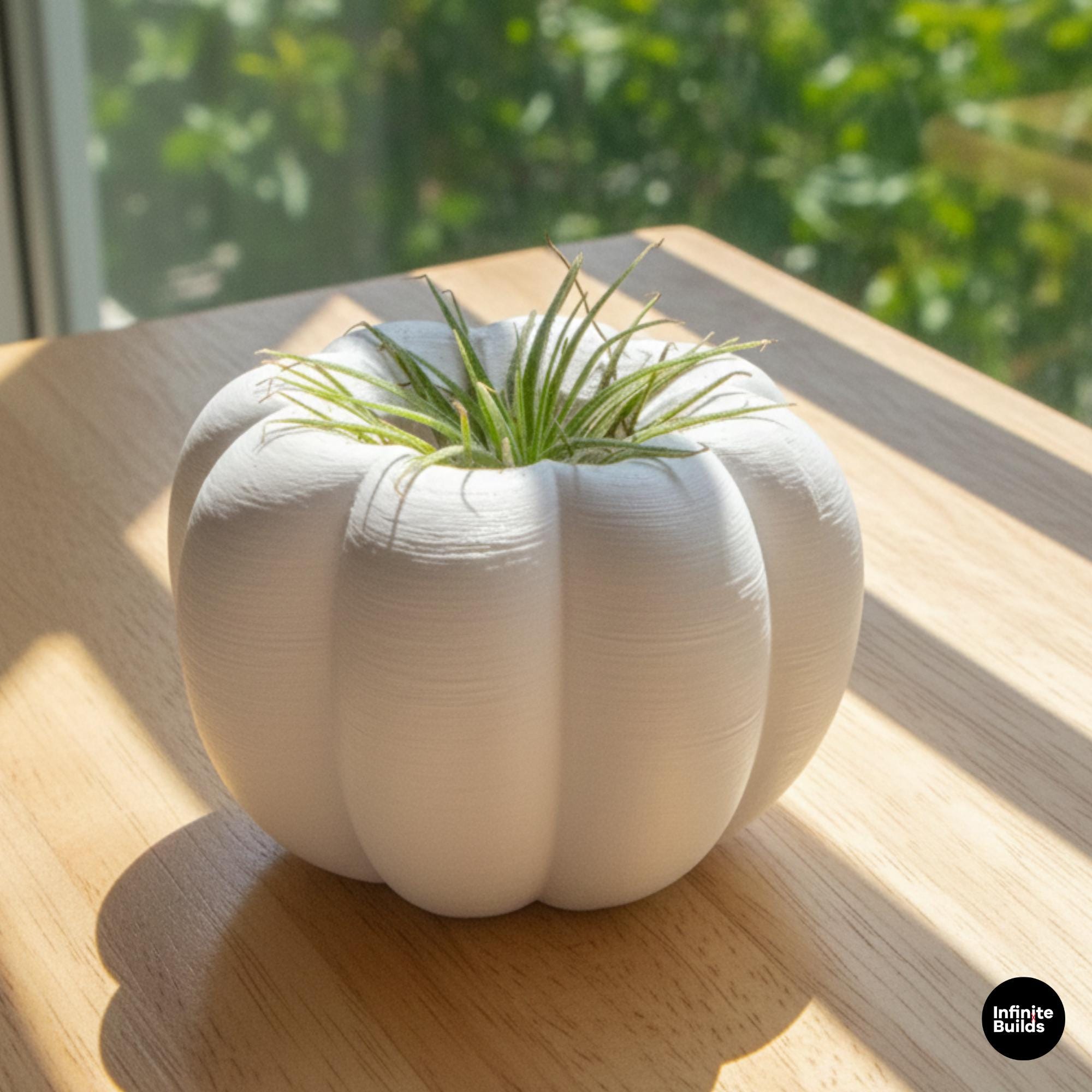 3D Printed Pumpkin Plant Pot Mini | Cute Air Plant Holder | Minimal Desk Decor | Small Succulent Planter | Cozy Home Gift