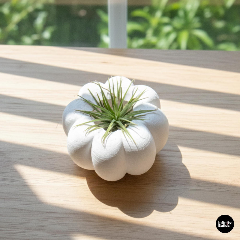 3D Printed Pumpkin Plant Pot Mini | Cute Air Plant Holder | Minimal Desk Decor | Small Succulent Planter | Cozy Home Gift