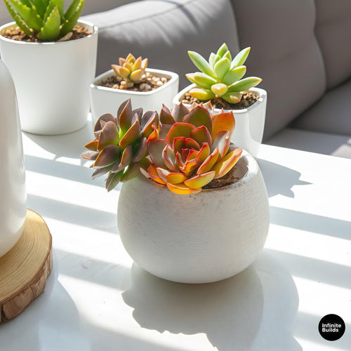 Bulb Round Plant Pot 3D Printed | Large Bulb Planter | Minimalist Succulent Pot | Modern Round Planter | Desk & Shelf Decor