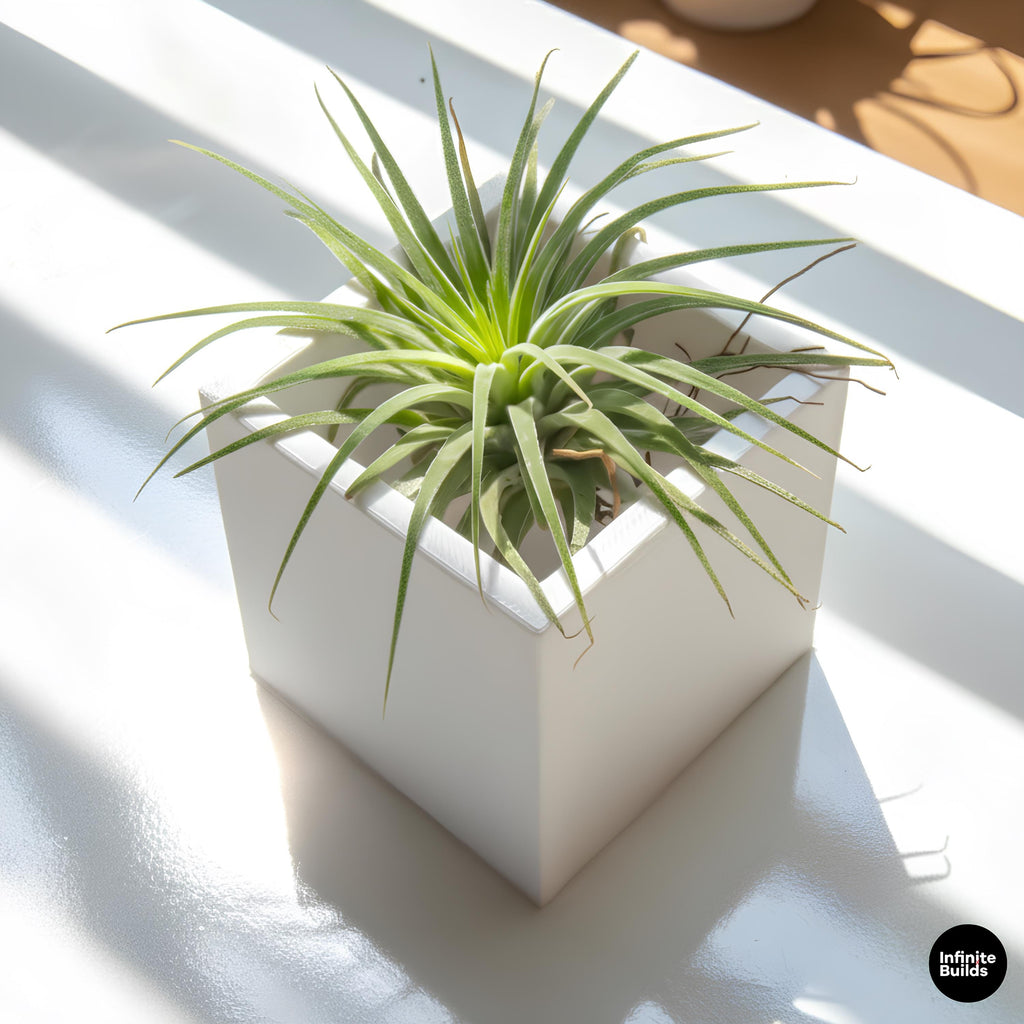 Square 3D Printed Plant Pot | Minimal Square Planter 2.4–3in | Modern Desk Decor | Small Air Plant Pot