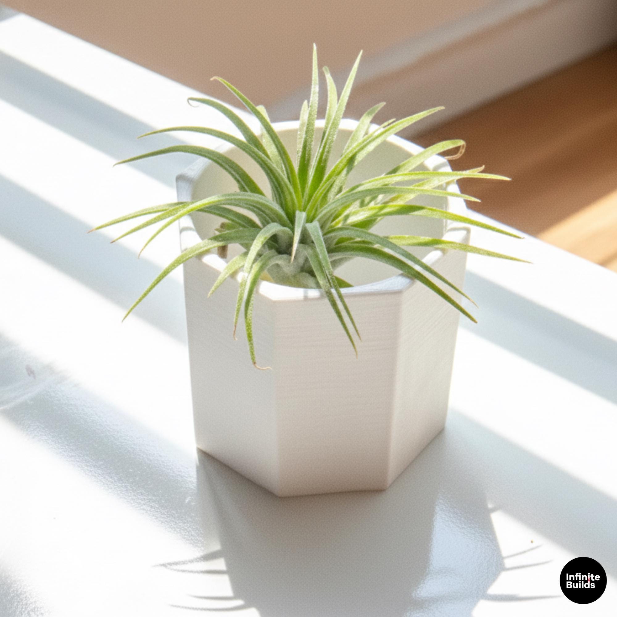 Polygonal 3D Printed Plant Pot | Minimalist Geometric Planter 2.4–3 Inches | Modern Desk Decor | Air Plant Pot