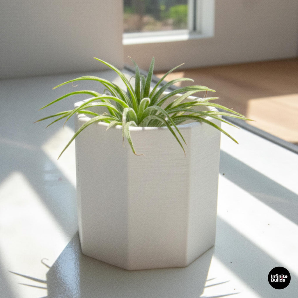 Polygonal 3D Printed Plant Pot | Minimalist Geometric Planter 2.4–3 Inches | Modern Desk Decor | Air Plant Pot