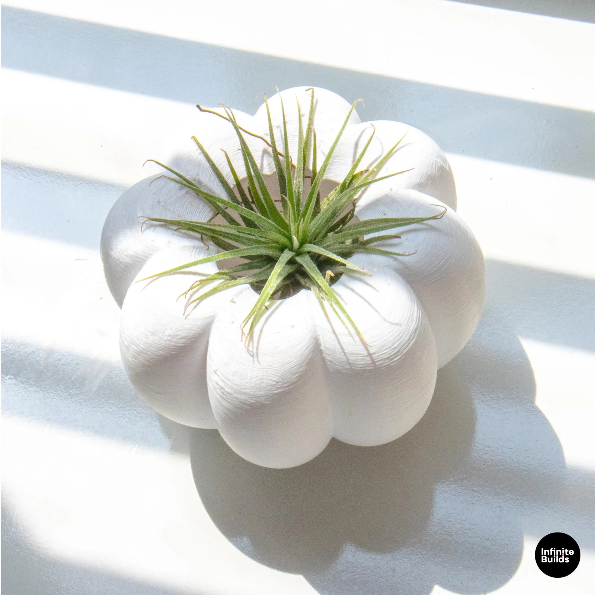 3d printed air plant holder 3D Printed Pumpkin Plant Pot Mini | Cute Air Plant Holder | Minimal Desk Decor | Small Succulent Planter | Cozy Home Gift