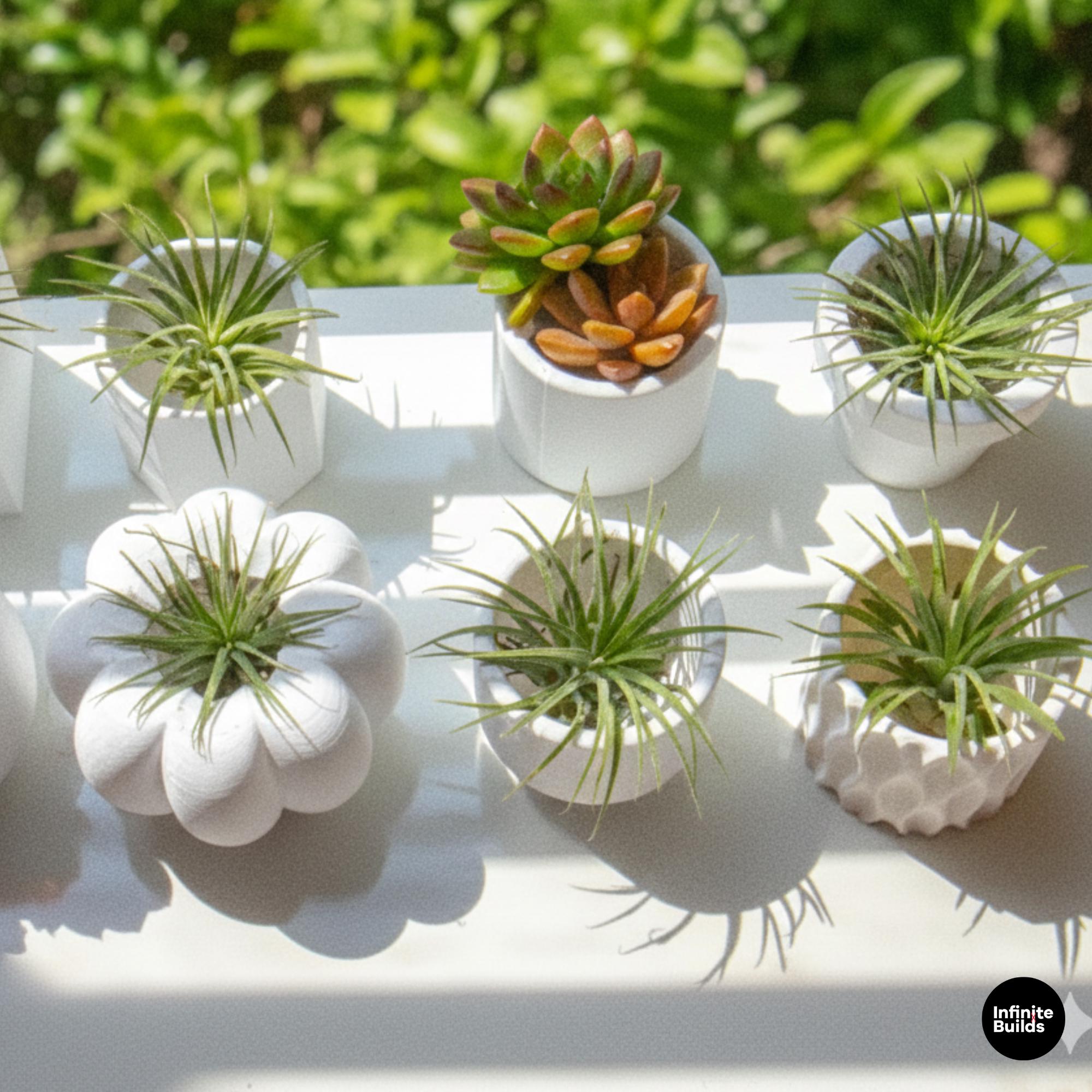 3D Printed Pumpkin Plant Pot Mini | Cute Air Plant Holder | Minimal Desk Decor | Small Succulent Planter | Cozy Home Gift