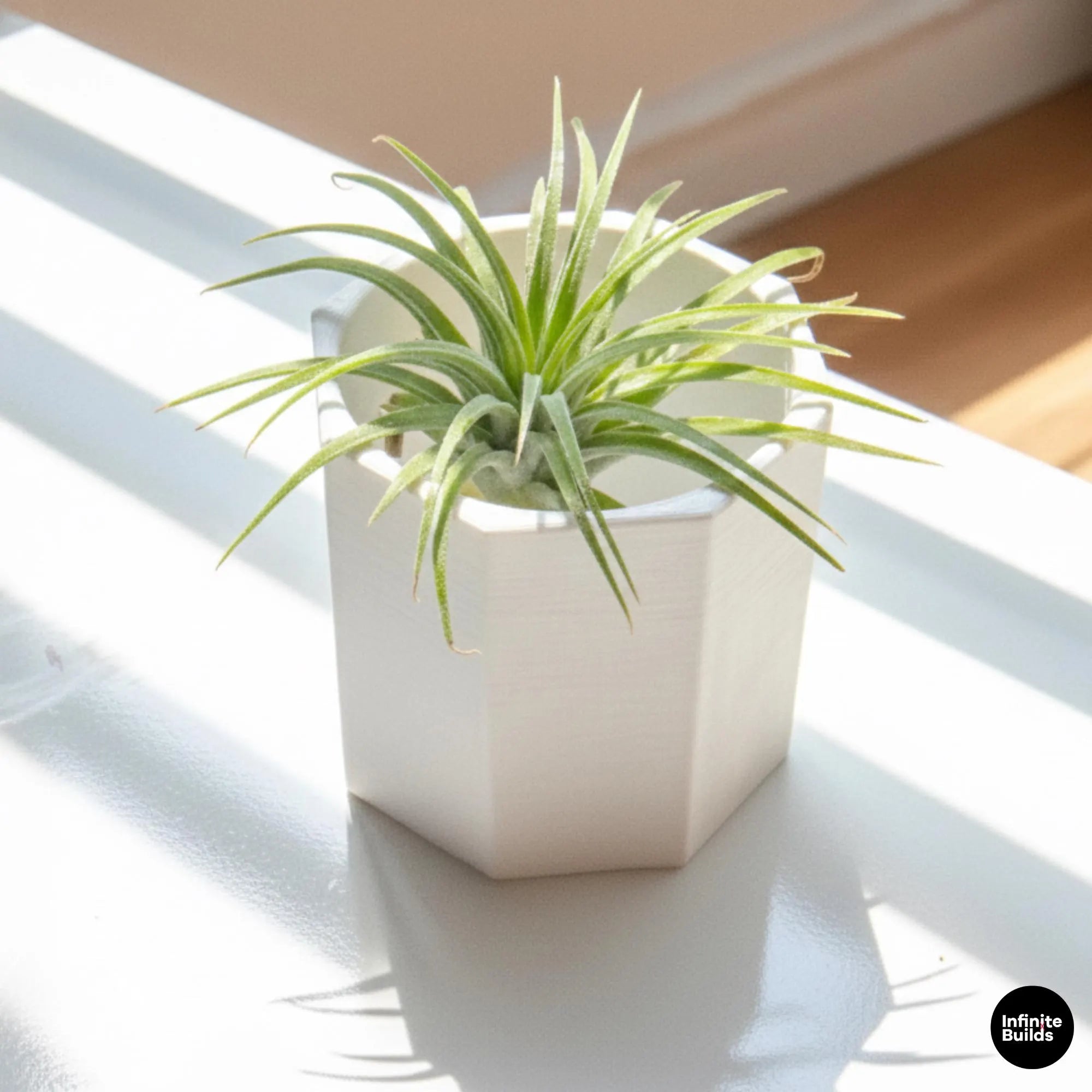 Polygonal 3D Printed Plant Pot | Minimalist Geometric Planter 2.4–3 Inches | Modern Desk Decor | Air Plant Pot