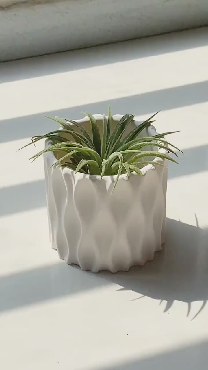 Wavy 3D Printed Plant Pot | Modern Ripple Planter 2.4–3 Inches | Minimalist Desk Decor | Air Plant Pot
