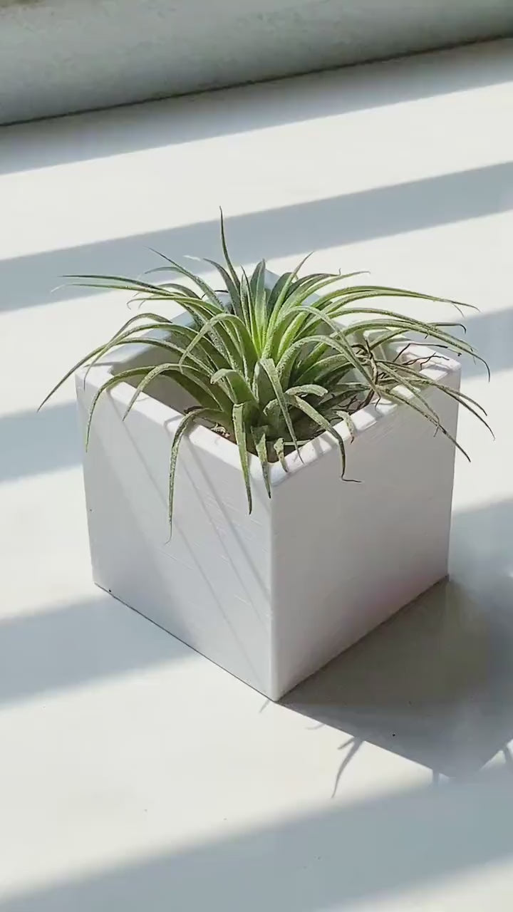Square 3D Printed Plant Pot | Minimal Square Planter 2.4–3in | Modern Desk Decor | Small Air Plant Pot