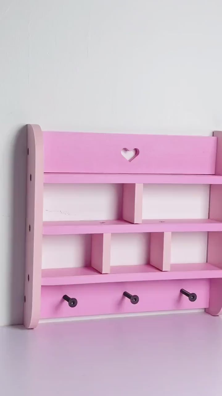 Art Toys Trinket Shelf