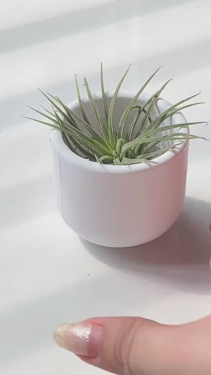 3D Printed Round Cup Plant Pot | Minimalist White Planter 2.4 Inches | Small Desk Pot for Air Plant & Succulent