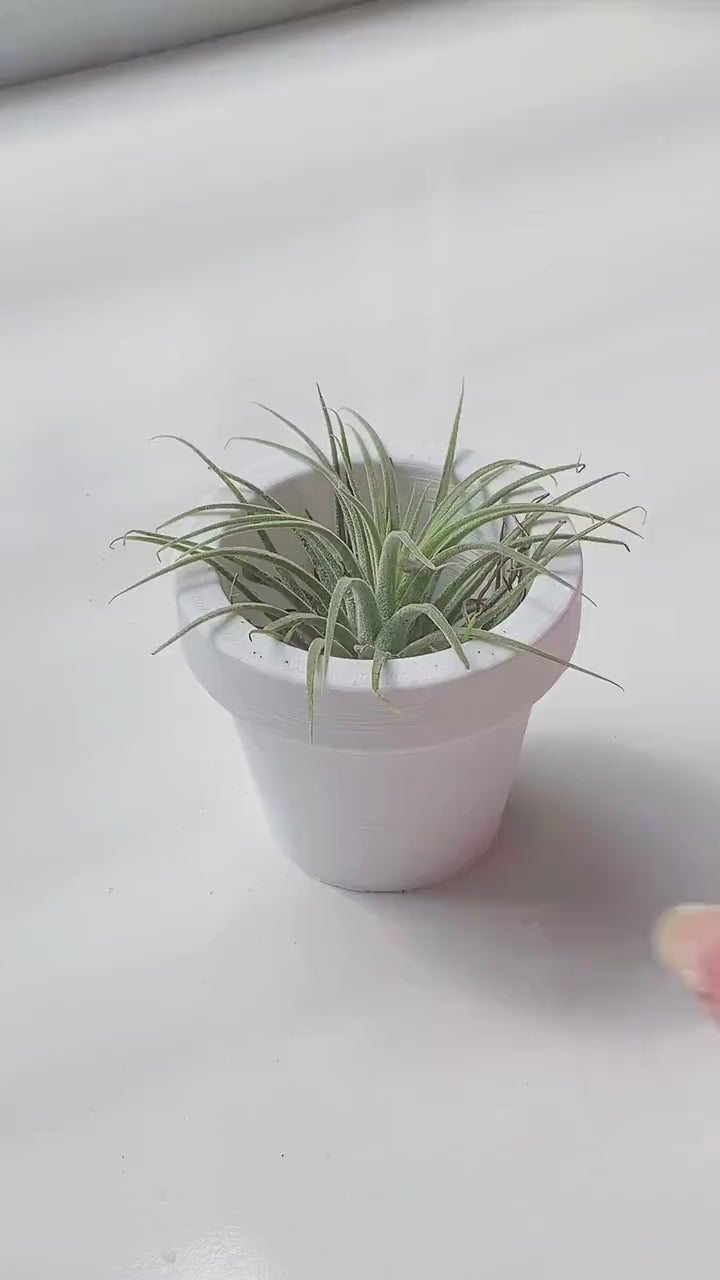 Mini Terracotta Style Pot 3D Printed | Small Round Planter for Air Plants | Succulents | Minimal Home Decor
