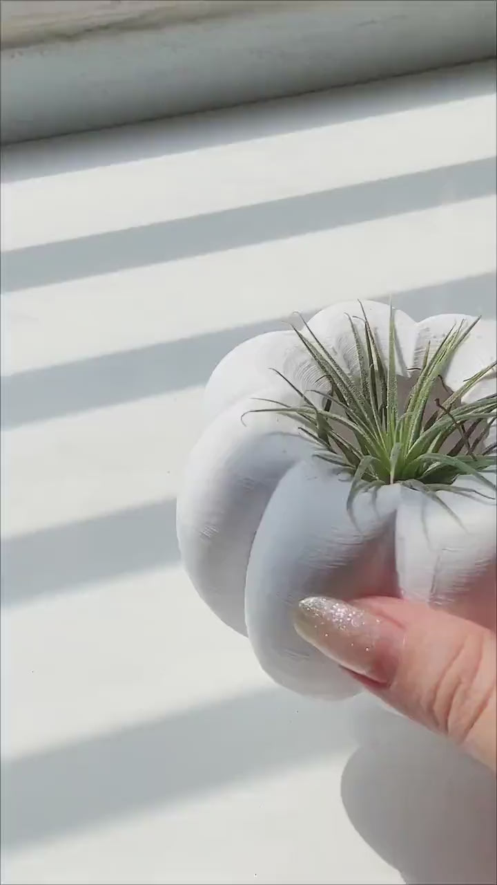 3D Printed Pumpkin Plant Pot Mini | Cute Air Plant Holder | Minimal Desk Decor | Small Succulent Planter | Cozy Home Gift
