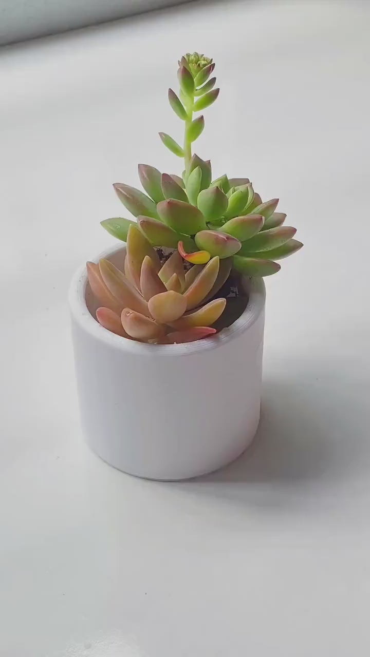 Minimal Cylinder Plant Pot 3D Printed | Small Round Succulent Pot | Modern Air Plant Planter | Desk Decor | 2.4–3 Inch